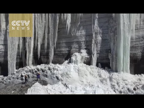 شاهد علماء من 5 دول يدرسون تغير المناخ