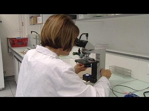 شاهد كاليستام تنجح في تحضير حيوانات منوية