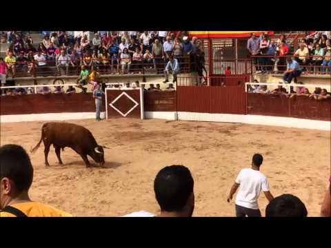 شاهد ثور هائج ينفذ قفزة مرعبة على مدرجات المتفرجين