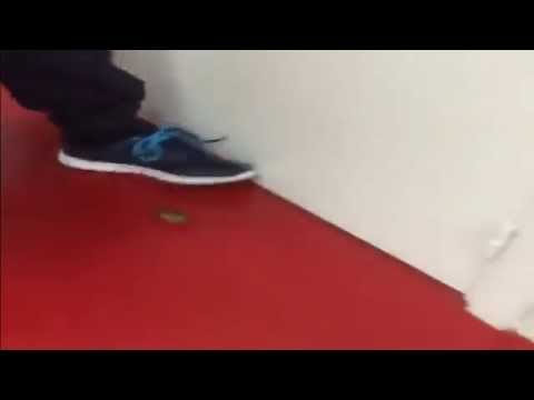 لاعب يوثق وجود فأر داخل غرفة خلع الملابس