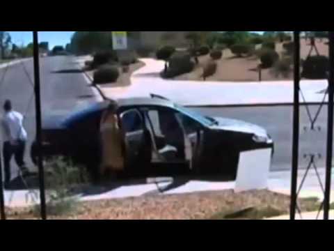 بالفيديو أميركيتان تسرقان أغذية الكلاب الضالة