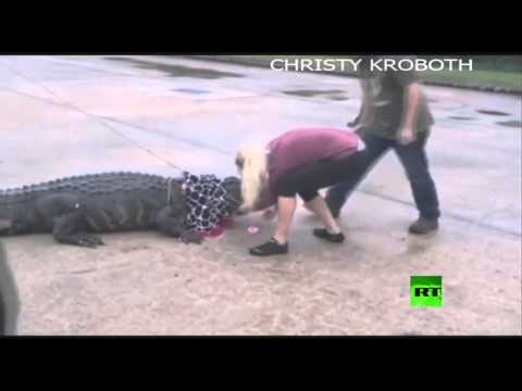 شاهد اكتشاف تمساح في هيوستن