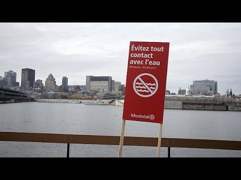 شاهد مياه الصرف تهدد التنوع البيولوجي في نهر سان لوران