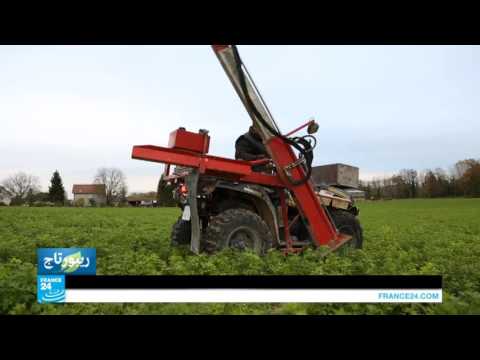 شاهد الخنازير مصدر لإنتاج الطاقة في فرنسا