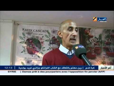 شاهد معرض خاص بمناسبة المولد النبوي الشريف