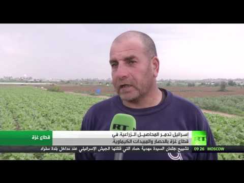 شاهد إسرائيل تستهدف قطاع الزراعة في غزة