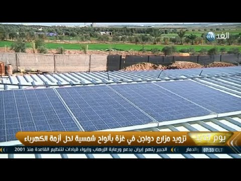 شاهد تزويد مزارع الدواجن في غزة بألواح شمسية