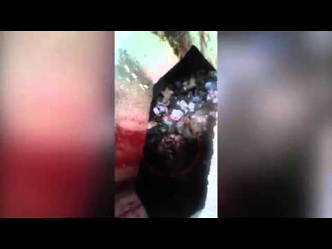 بالفيديو طفل حديث الولادة داخل مرحاض