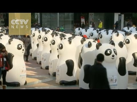 ألاف الباندا الضخمة تجمع الملابس القديمة