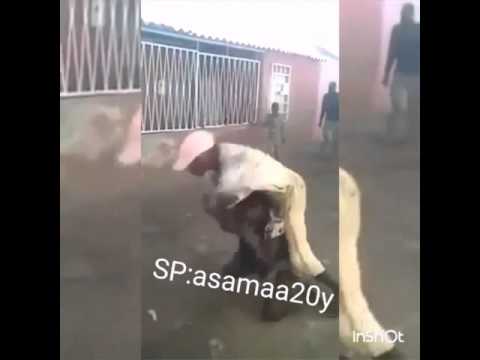 بالفيديو امرأة تنهي خناقة مع زوجها