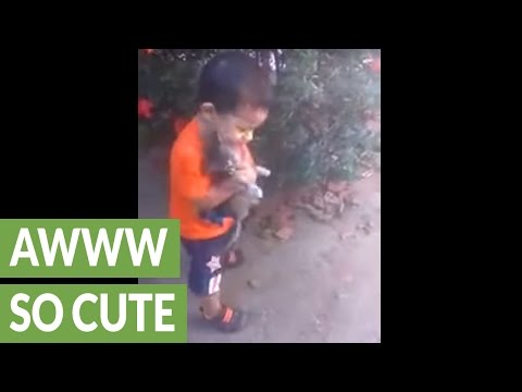 بالفيديو طفل لا يستطيع التوقف عن احتضان قطة صغيرة