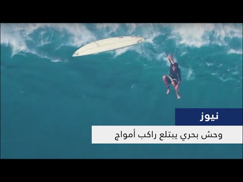 شاهد وحش بحري يبتلع راكب أمواج