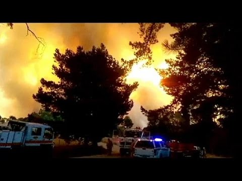 النيران تلتهم أكثر من 12 ألف هكتار في أستراليا