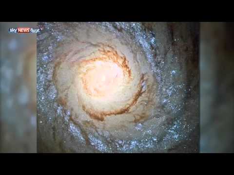 شاهد علماء يؤكدون صحة نظرية موجات الجاذبية