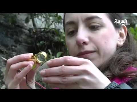 دراسة علمية تؤدي إلى تحديث تاريخ لبنان الجيولوجي