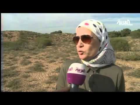 منتزه سوس ماسة يحتضن حيوانات مهددة بالانقراض