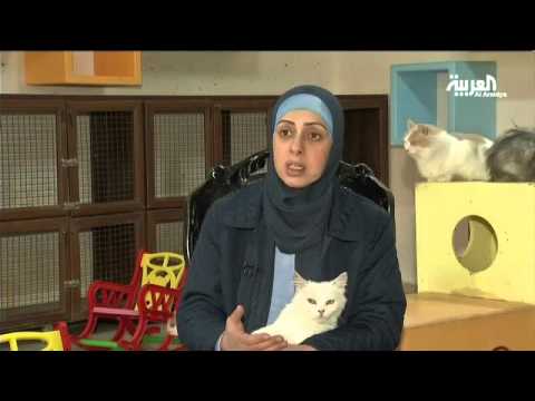 أردنية تعيش مع أكثر من 100 قطة في منزلها