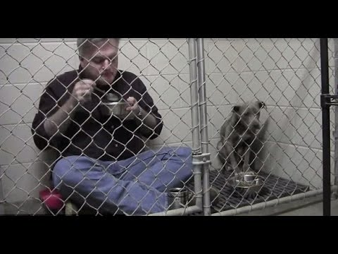 طبيب أميركي يتناول فطوره داخل قفص كلبة خائفه ليهدئها