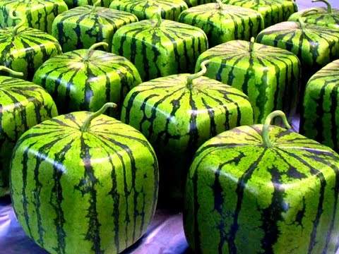 أغلى 10 فواكه في العالم