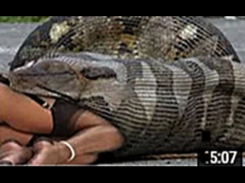 أضخم وأغرب الحيوانات في العالم