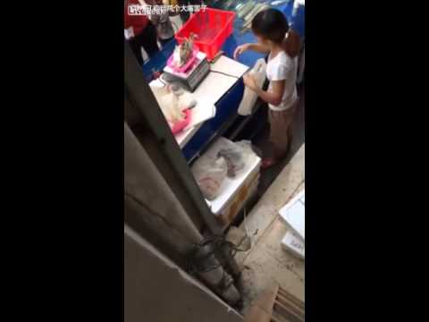 بائعة أسماك تغش زبونًا بطريقة ماكرة