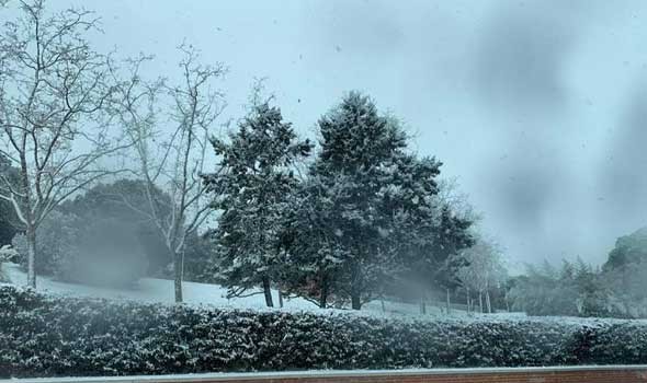 السعودية اليوم -