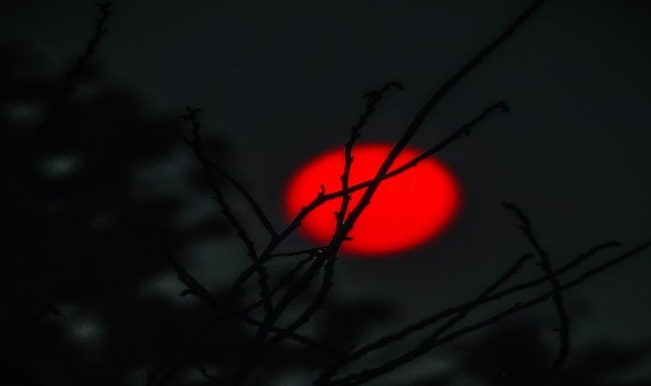  السعودية اليوم - تفسير رؤيا القمر في منام الرجل والمرأة